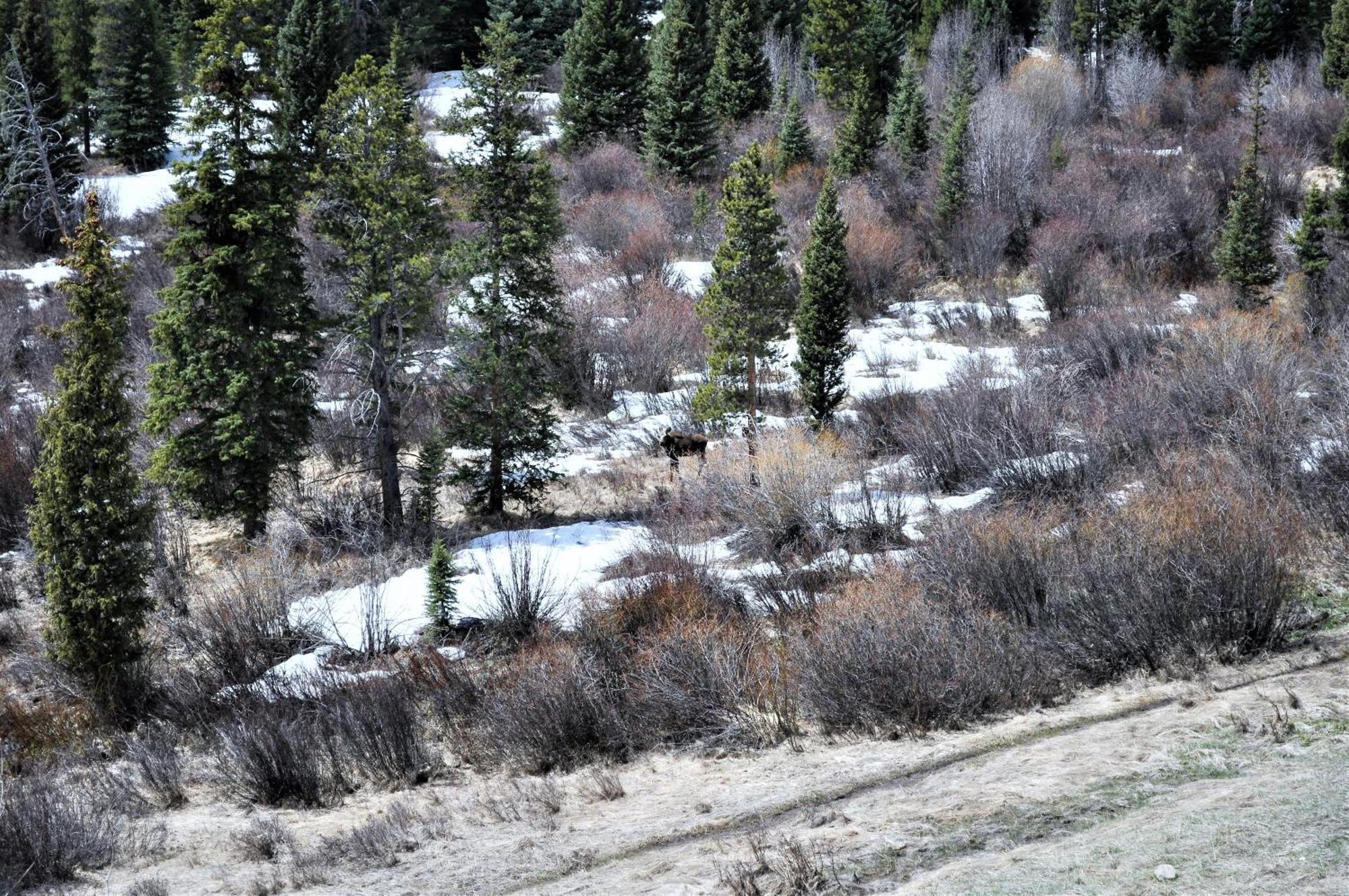 Forest Park 3 Bed 4 Bath Twnhm Htjm Silverthorne Exterior foto